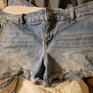 Torrid shorts